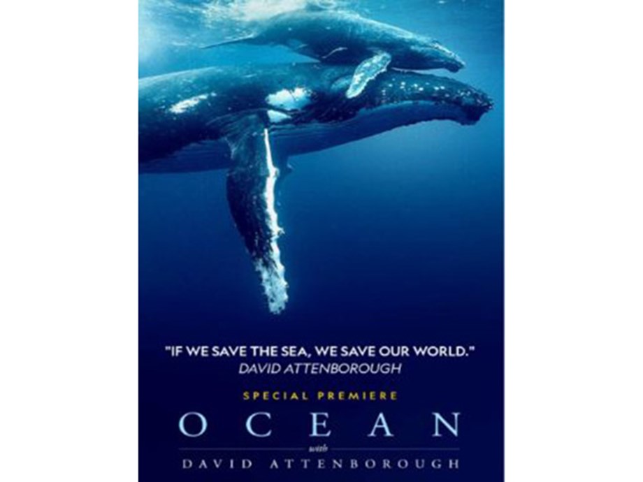 Dive Into the Deep: David Attenboroughs Ocean Odyssey Dive Into the Deep: David Attenboroughs Ocean Odyssey