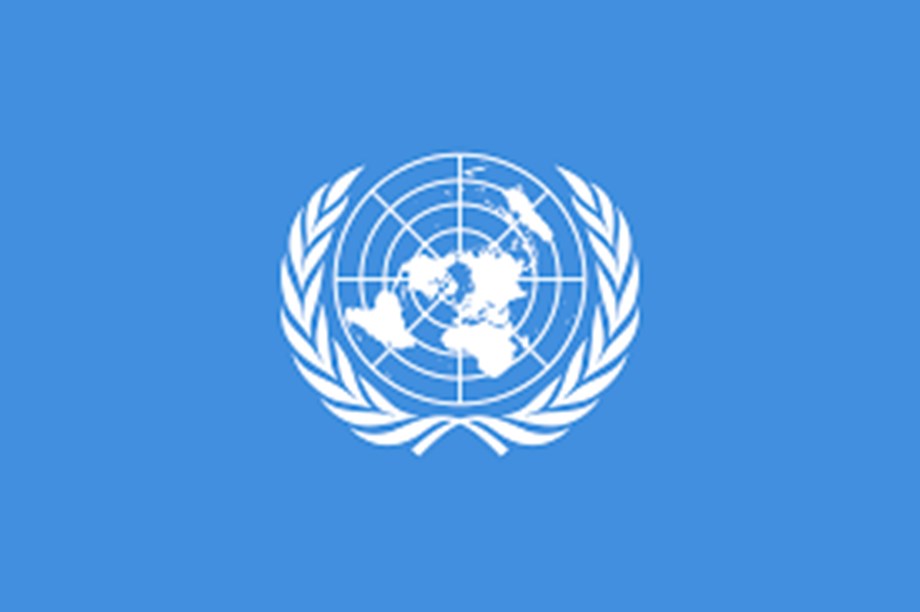 Diplomats: UN fails to approve call to end Tigray violence Diplomats: UN fails to approve call to end Tigray violence