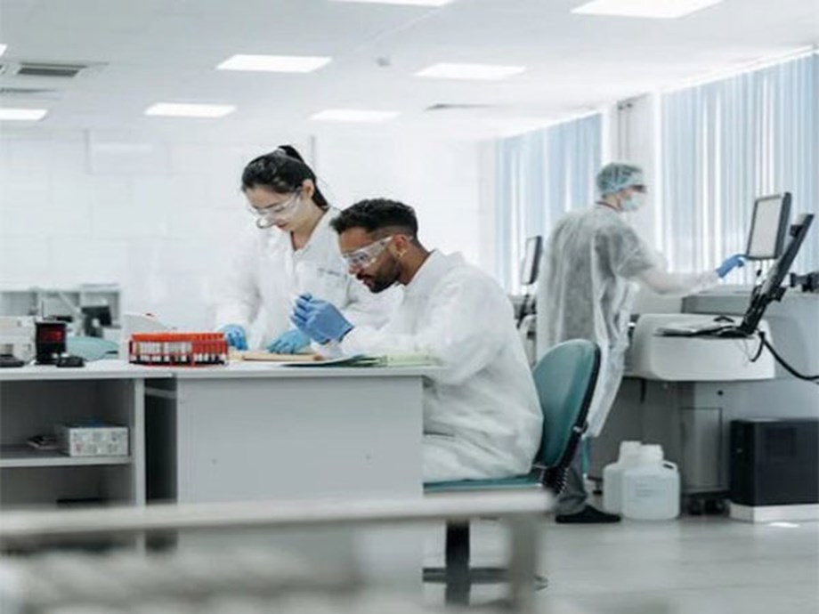 Researchers create model for how brain gets essential omega-3 fatty acids Researchers create model for how brain gets essential omega-3 fatty acids