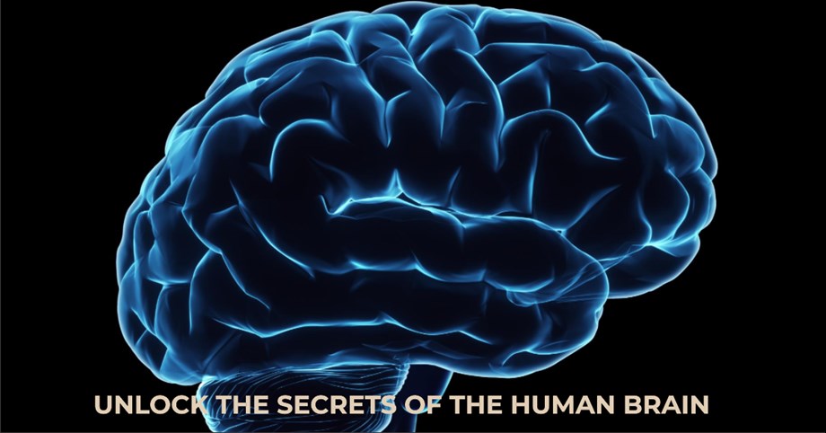 A Comprehensive Guide: Understanding the Inner Workings of the Human ...