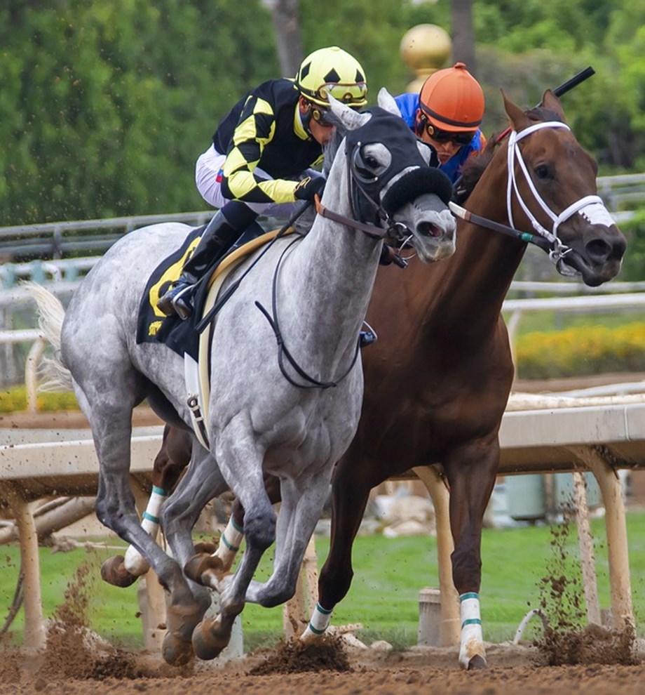 Horse racing-Trainer Farrelly permanently excluded from British racing Horse racing-Trainer Farrelly permanently excluded from British racing