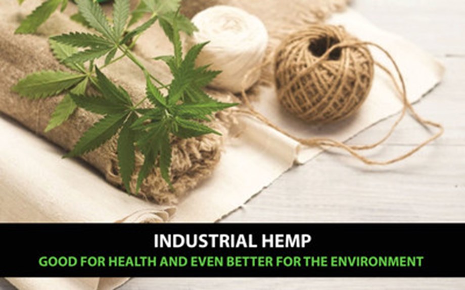 Redefining Wellness with Hemp Redefining Wellness with Hemp