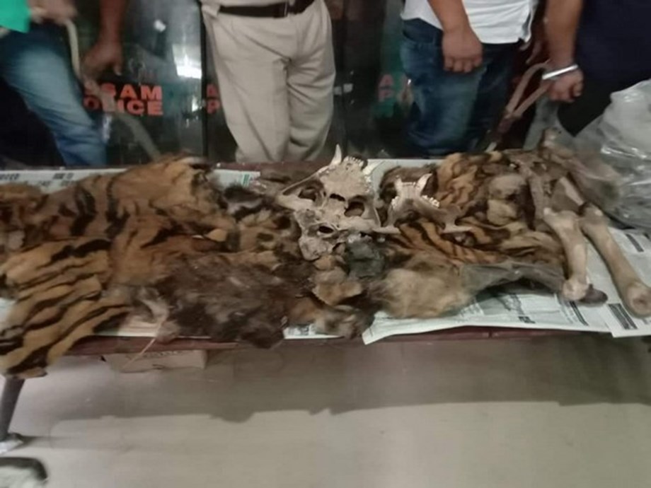Leopard skin seized in Odisha, 2 held Leopard skin seized in Odisha, 2 held