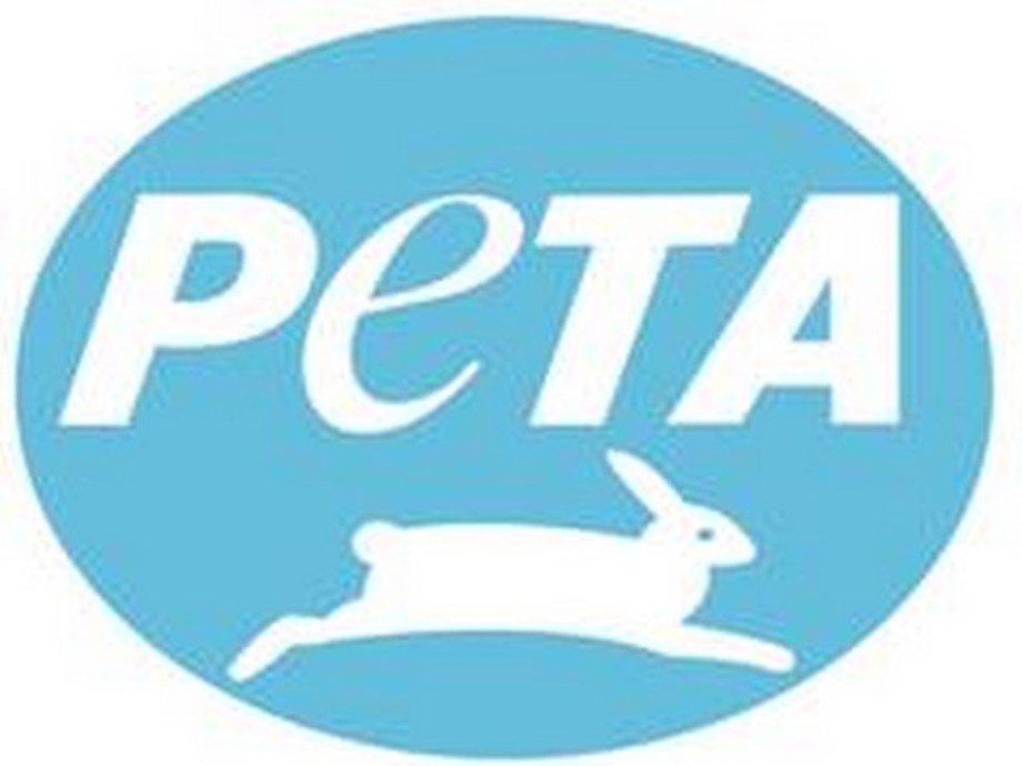 Khaman seller from Surat gets PETA award for saving birds from kite string Khaman seller from Surat gets PETA award for saving birds from kite string