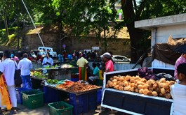 Manmade food crisis in Sri Lanka red flag for abrupt pivot to organic farming 