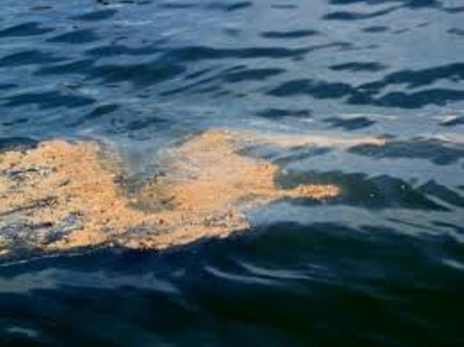 California oil spill cause probed; storm threatens cleanup California oil spill cause probed; storm threatens cleanup