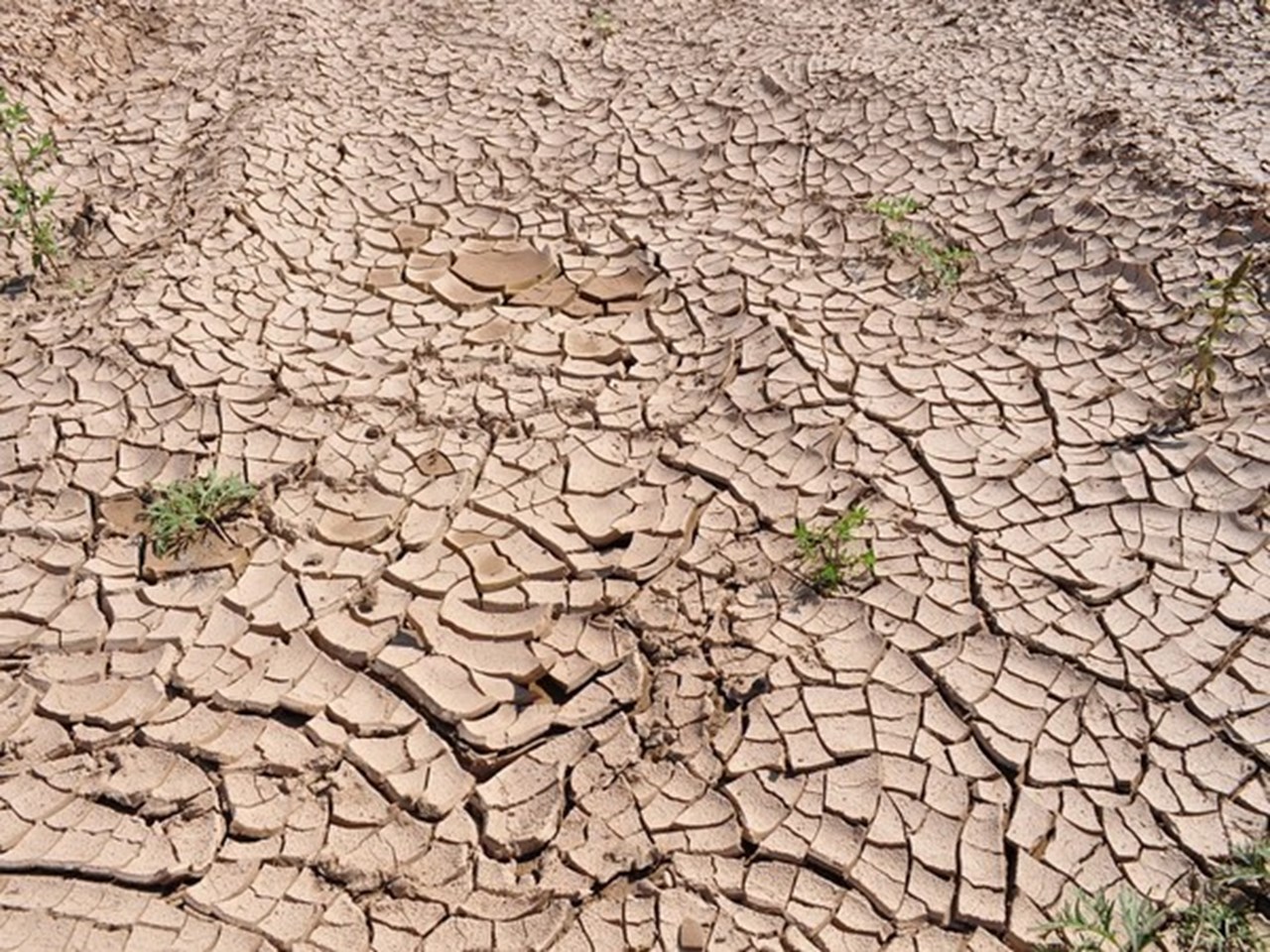 En el extremo sur de Chile, la peor sequía en 50 años