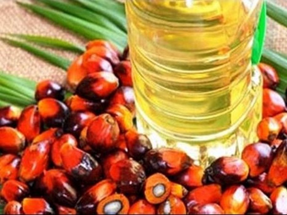 Indonesia aims to issue first palm oil export permits since ban Indonesia aims to issue first palm oil export permits since ban