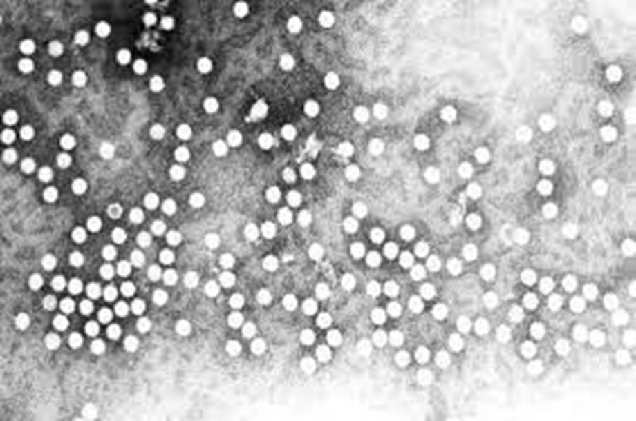 French health authority recommends targeted monkeypox vaccinations French health authority recommends targeted monkeypox vaccinations