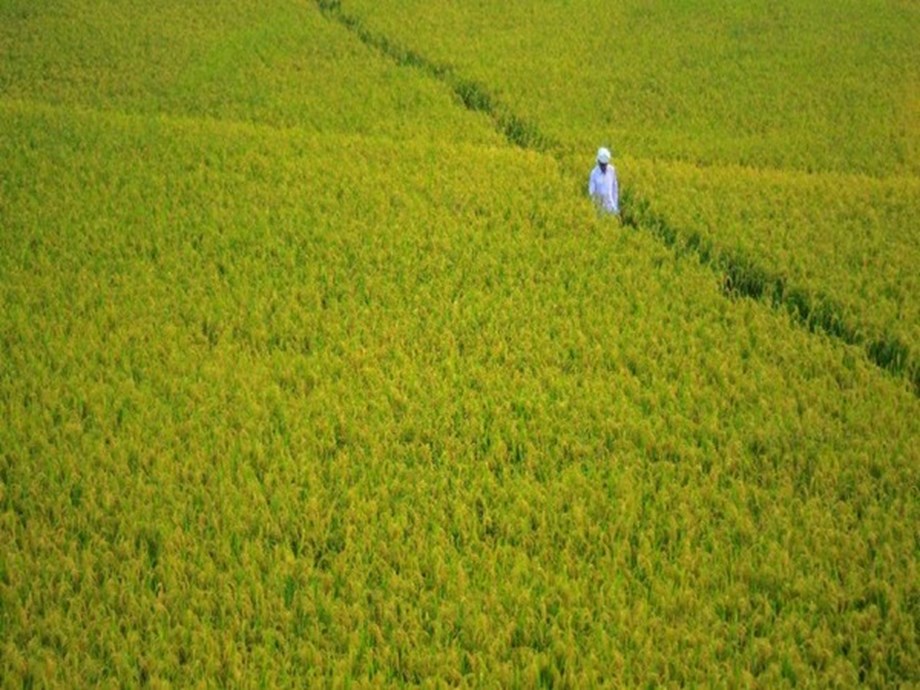 Agriculture Infrastructure Fund mobilises over Rs 30,000 crore for creation of post-harvest mgmt infra Agriculture Infrastructure Fund mobilises over Rs 30,000 crore for creation of post-harvest mgmt infra
