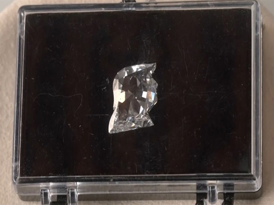 Trumps Great Purge: Over 1,000 Biden Appointees to Be Removed Trumps Great Purge: Over 1,000 Biden Appointees to Be Removed