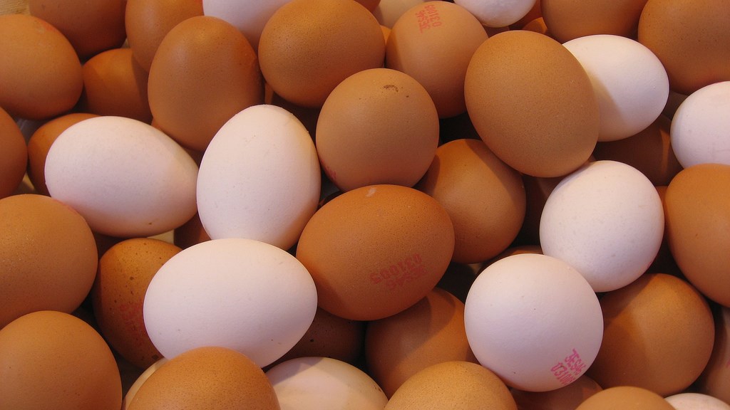 Sri Lanka to import 1 million eggs daily from India to meet market demand | Science-Environment