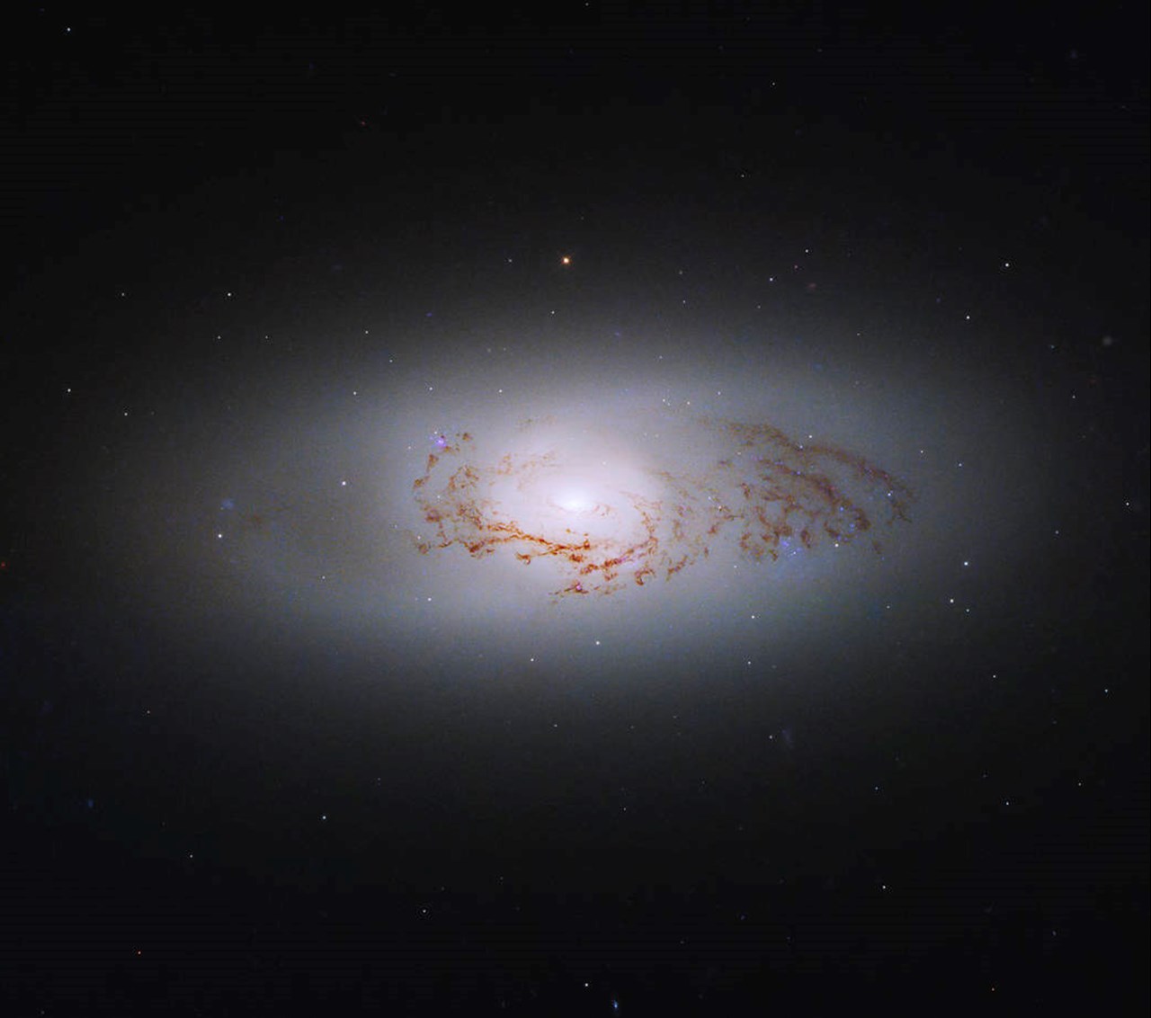 Photo of Hubble voit une galaxie intergalactique