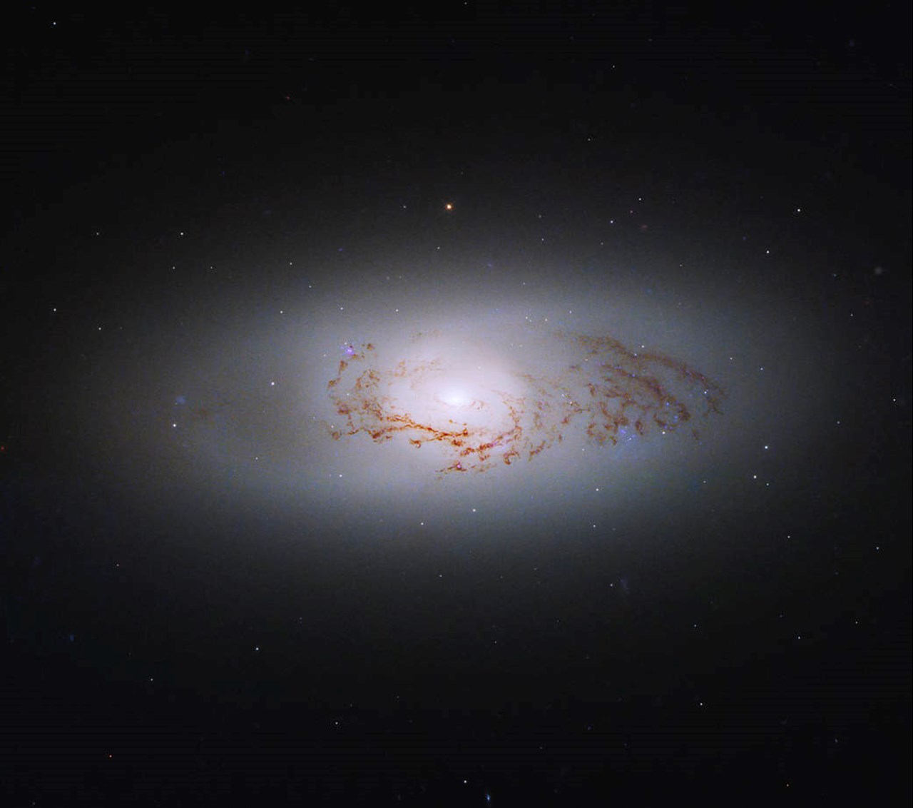 Hubble voit une galaxie intergalactique Hubble voit une galaxie intergalactique