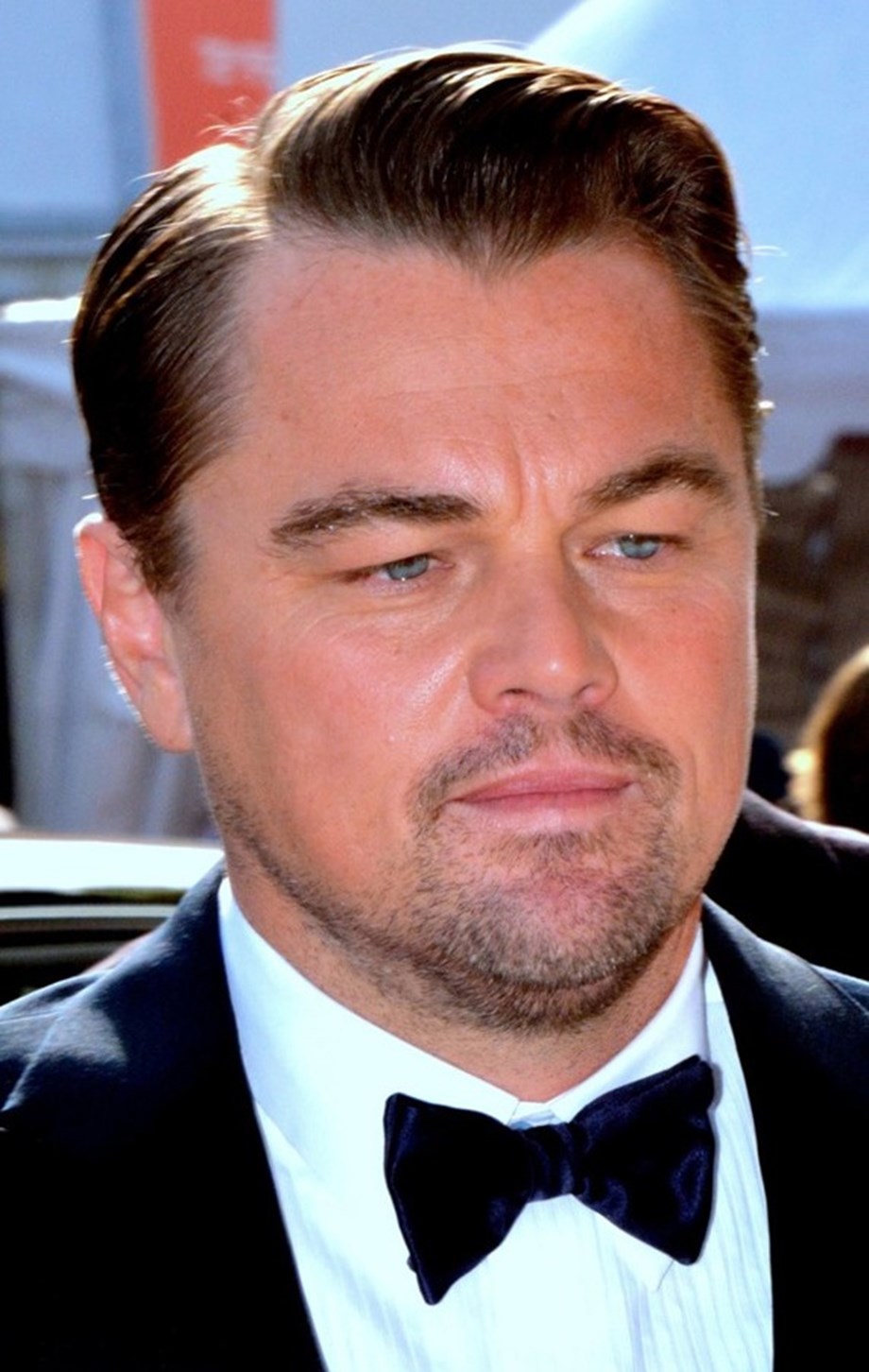 La star de cinéma Leonardo DiCaprio investit dans la marque française de champagne Telmont