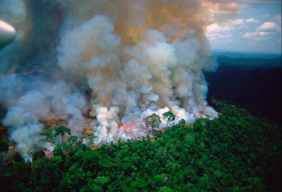 Amazon fires surge anew in Brazil as cleared forest burns Amazon fires surge anew in Brazil as cleared forest burns