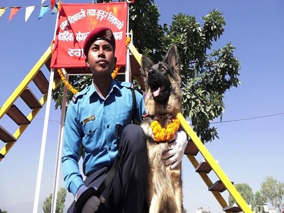Nepal Police honours best performing service dogs on Day of Dog Nepal Police honours best performing service dogs on Day of Dog