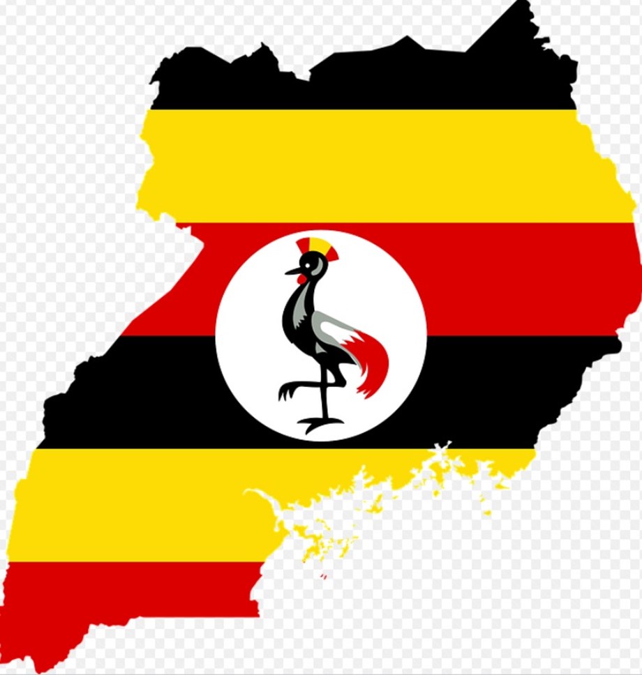 Parliament passes key bills for rationalisation of Gender and Special Interest Groups Parliament passes key bills for rationalisation of Gender and Special Interest Groups