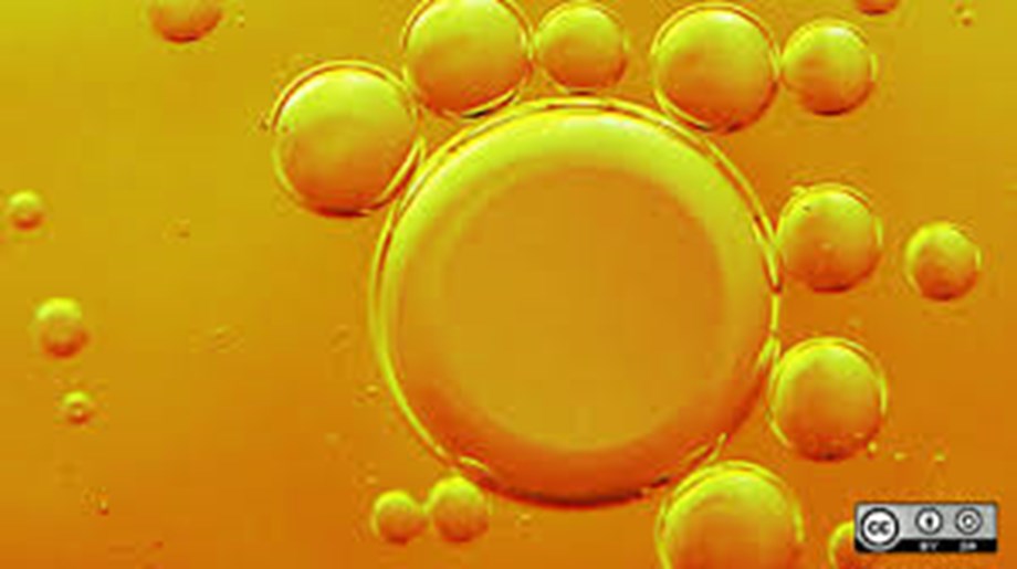 Kerala vet doc gets patent for biodiesel from chicken waste Kerala vet doc gets patent for biodiesel from chicken waste