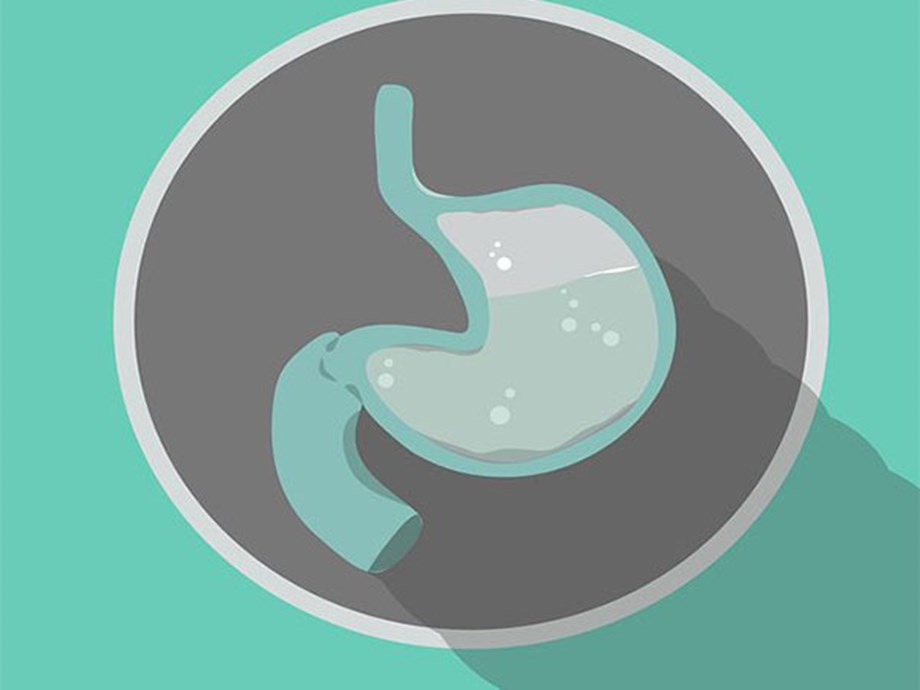 Certains estomacs digèrent plus vite que d’autres à cause des microbes : une étude Certains estomacs digèrent plus vite que d’autres à cause des microbes : une étude