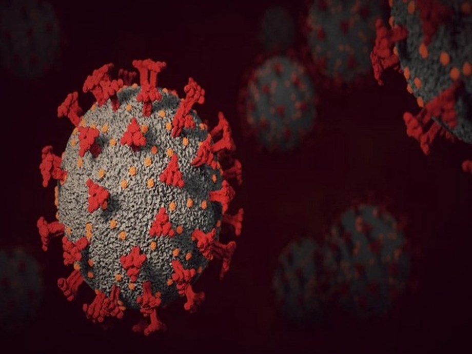 Omicron survives much longer on plastic, skin than earlier coronavirus variants: Study Omicron survives much longer on plastic, skin than earlier coronavirus variants: Study