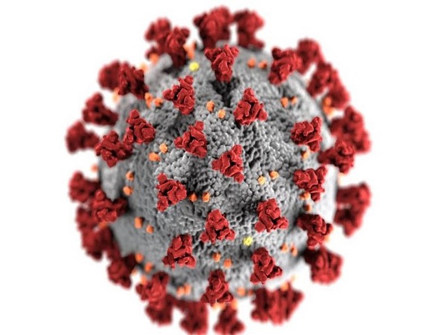 COVID-19 genetic risk variant protects against HIV, says study COVID-19 genetic risk variant protects against HIV, says study