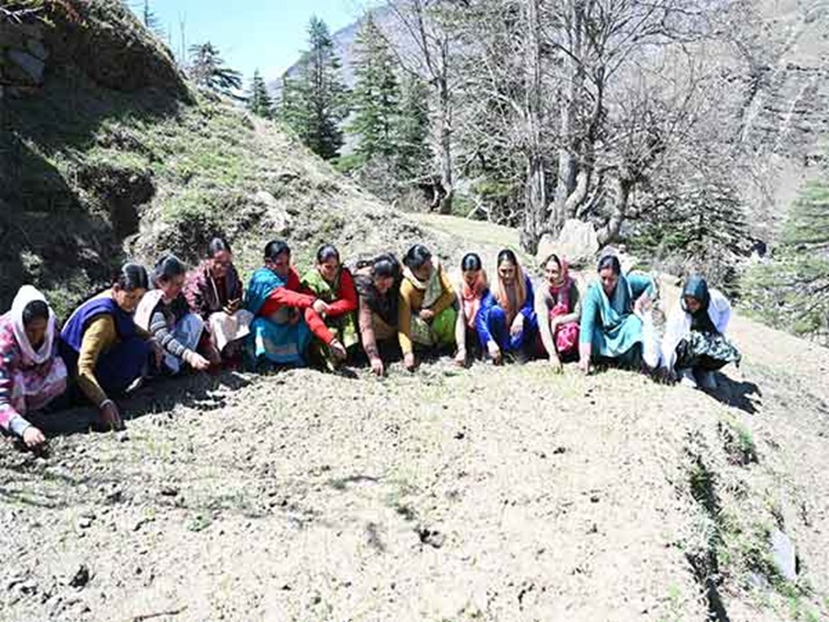 Driving the Green Revolution: Mainstreaming Non-Chemical Farming for Indias Future Driving the Green Revolution: Mainstreaming Non-Chemical Farming for Indias Future