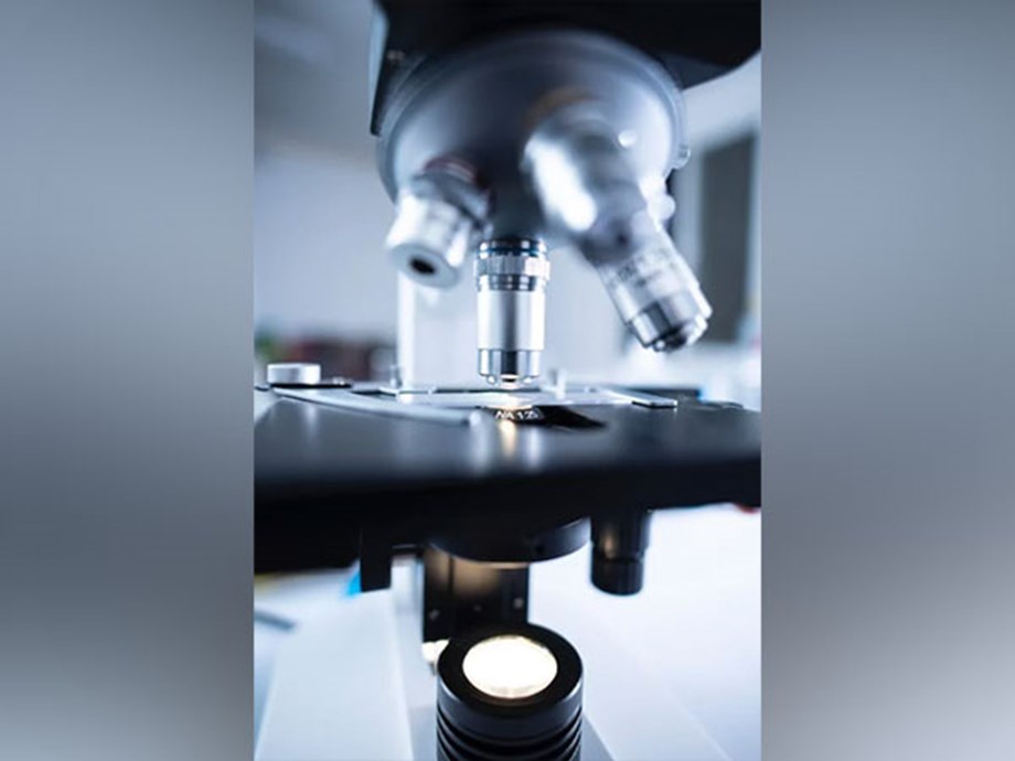 Une étude révèle une stratégie pour stimuler la réponse immunitaire à une infection virale Une étude révèle une stratégie pour stimuler la réponse immunitaire à une infection virale