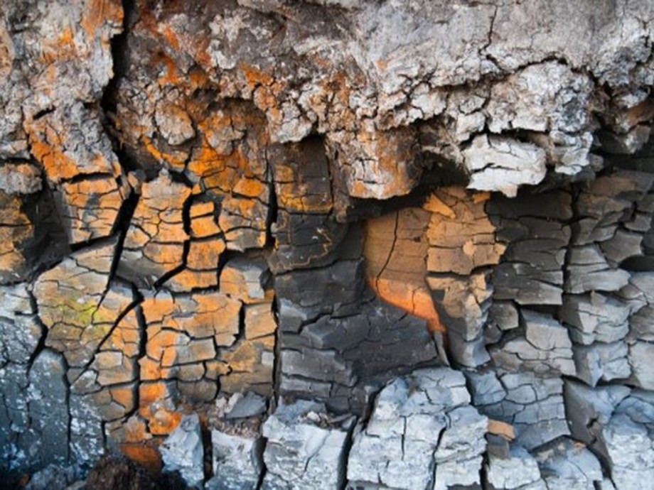 Human activities causing continuous land degradation around the world: UN report Human activities causing continuous land degradation around the world: UN report