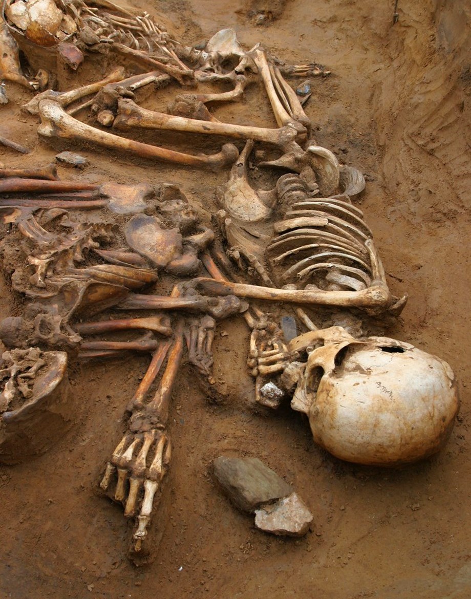 Skeletons found in TN village Skeletons found in TN village