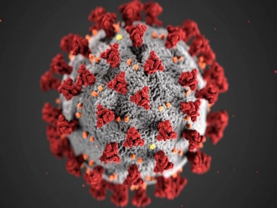 FACTBOX-Latest on the worldwide spread of the coronavirus - Devdiscourse