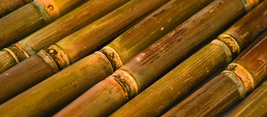 Sugarmills in Muzaffarnagar asked to start crushing operations by 3rd week of Oct Sugarmills in Muzaffarnagar asked to start crushing operations by 3rd week of Oct