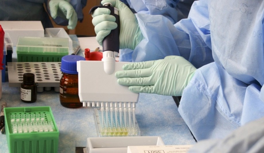 Brazil scrambles to approve virus vaccine as pressure mounts Brazil scrambles to approve virus vaccine as pressure mounts