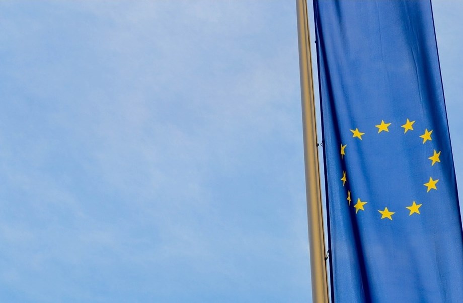 Polish, Hungarian veto of EU budget would also hit climate goals - diplomat Polish, Hungarian veto of EU budget would also hit climate goals - diplomat