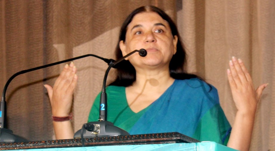 Maneka Gandhi slams Rajasthan govt of lumpy skin disease Maneka Gandhi slams Rajasthan govt of lumpy skin disease