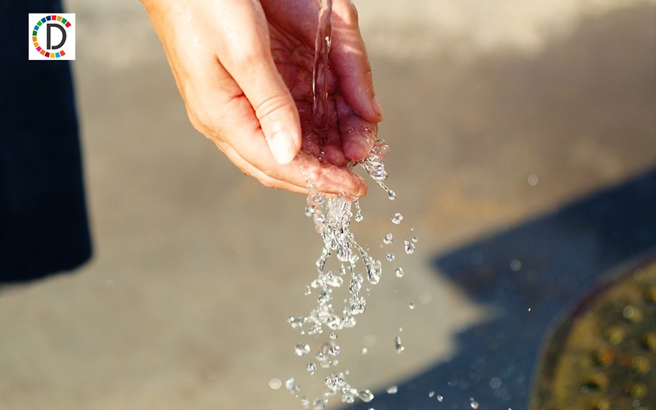 Plantable Seed Rakhis are a perfect way to celebrate your Rakshabandhan